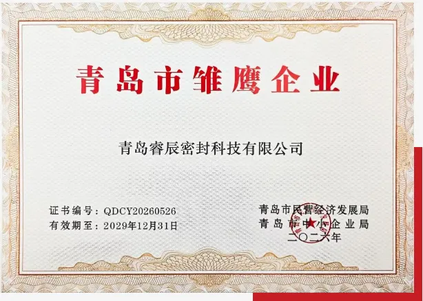 Qingdao Ruichen Sealing Technology Co., Ltd کو 2026 چنگ ڈاؤ 