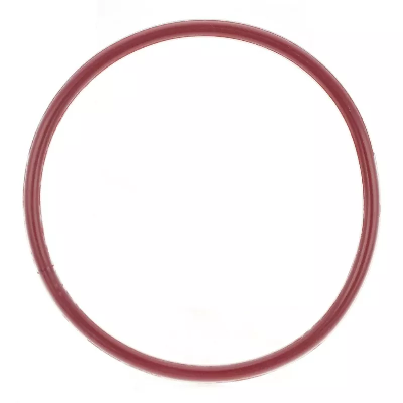 FEP/PFA انکیپسولیٹڈ O-Ring