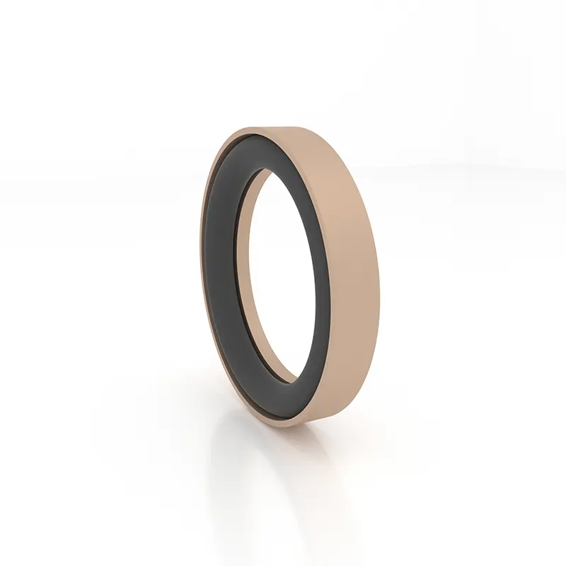 High Pressure Seals For Piston Holes High Pressure Seals For Piston Holes